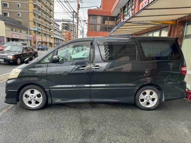 ALPHARD-2