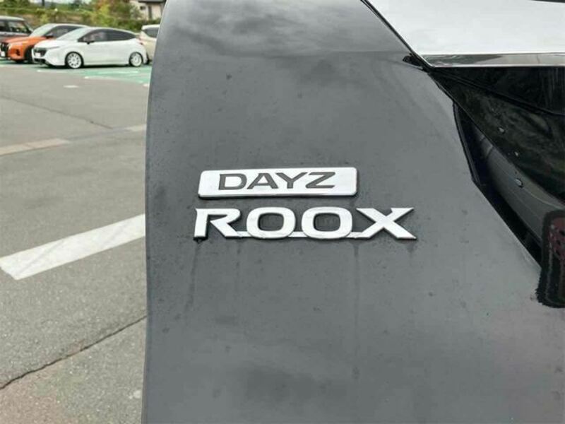 DAYZ ROOX