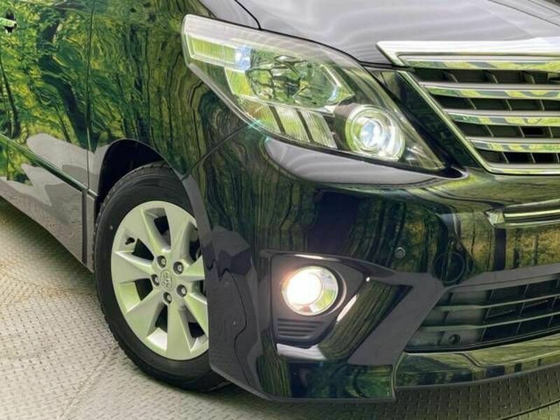 ALPHARD-13