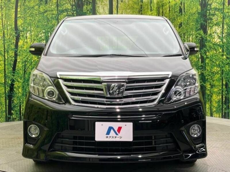 ALPHARD-15