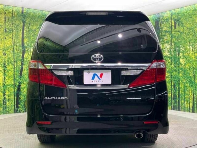 ALPHARD-16