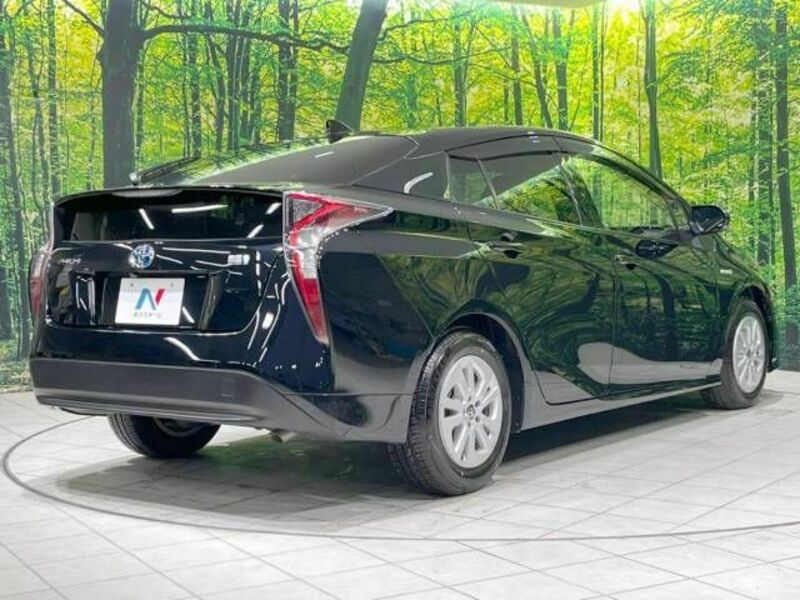 PRIUS-17