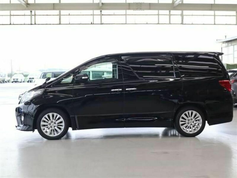 ALPHARD-6