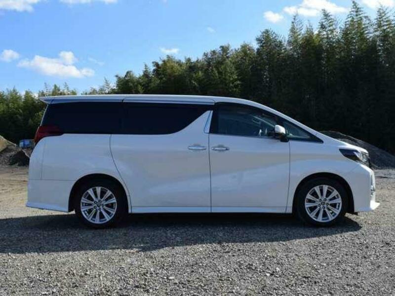 ALPHARD-16