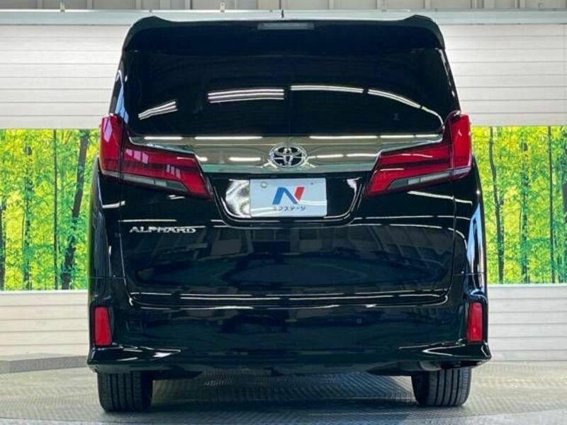 ALPHARD-15