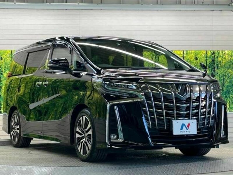 ALPHARD-16