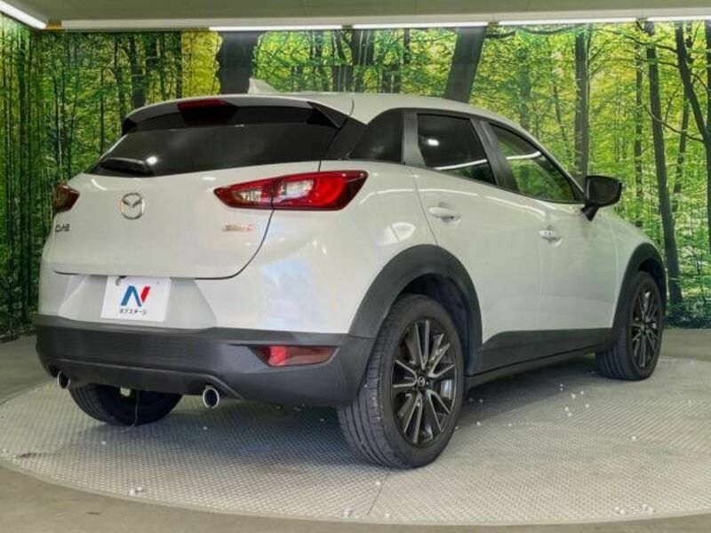 CX-3-17