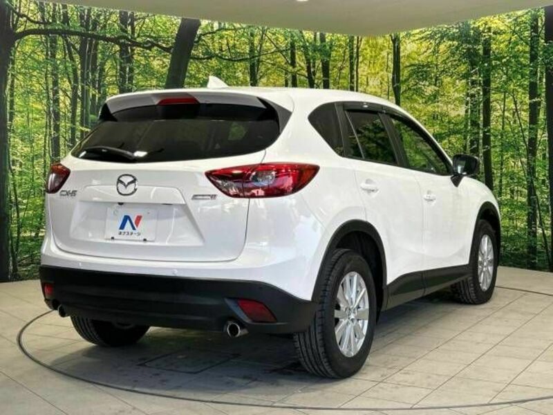 CX-5-17