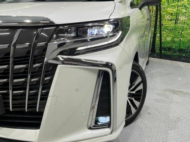 ALPHARD-12