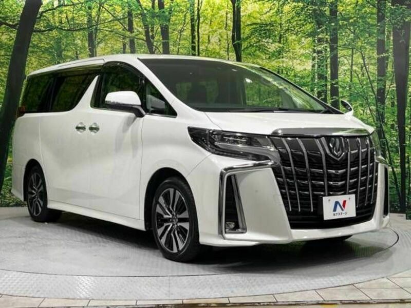 ALPHARD-16