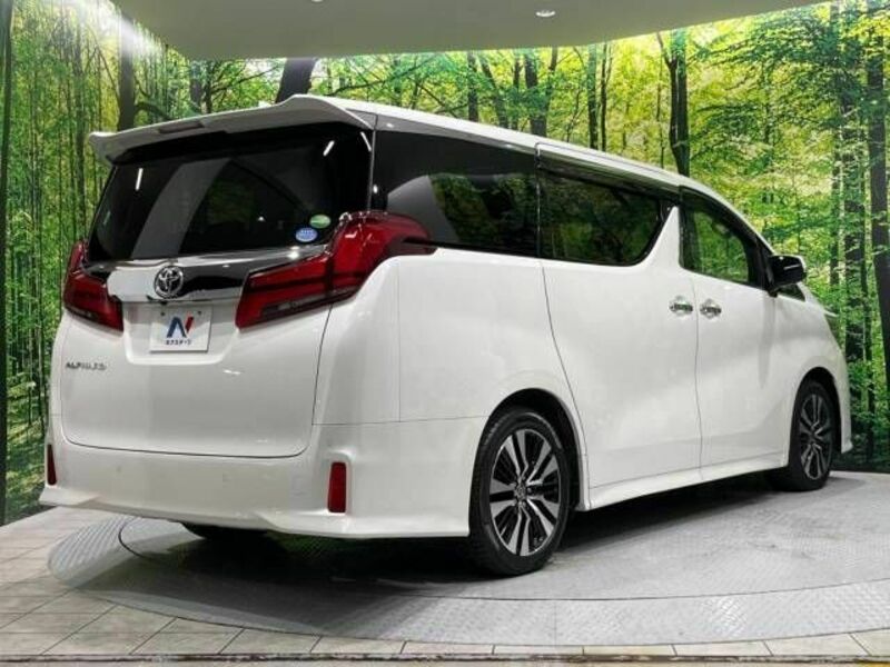 ALPHARD-17