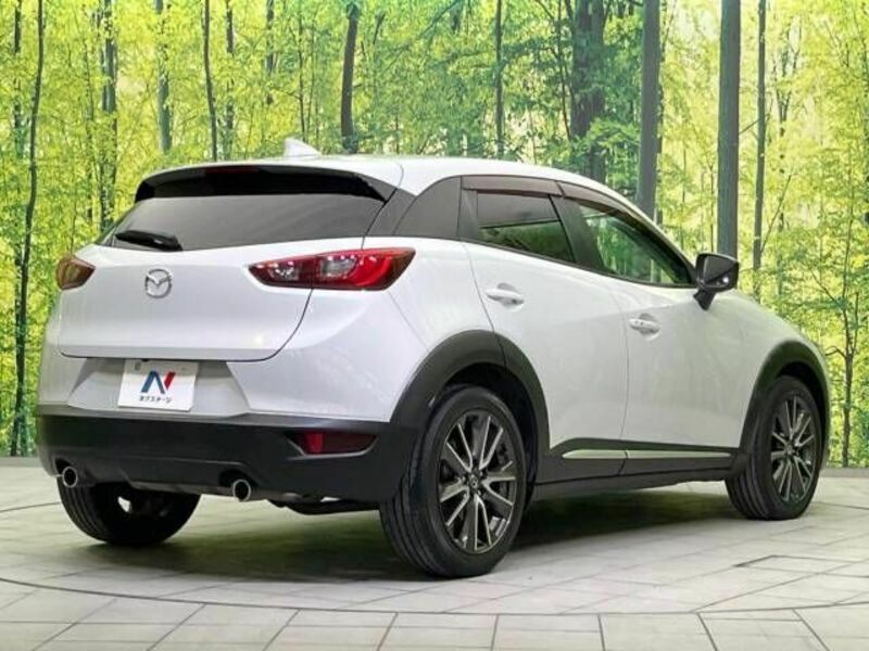 CX-3-17