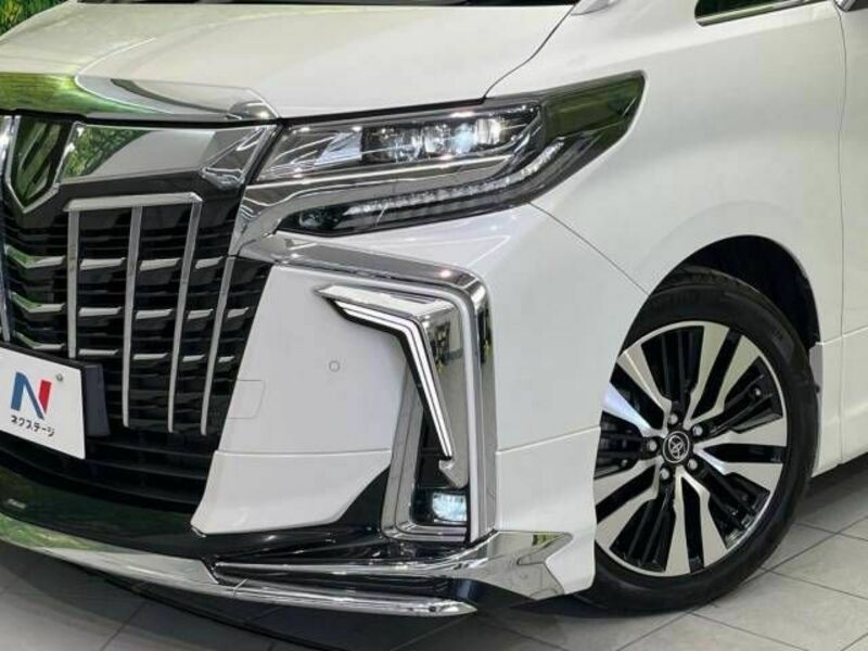 ALPHARD-13