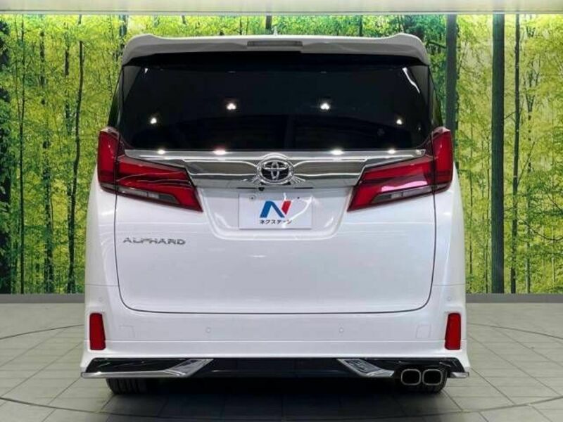 ALPHARD-16