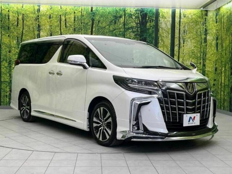 ALPHARD-17