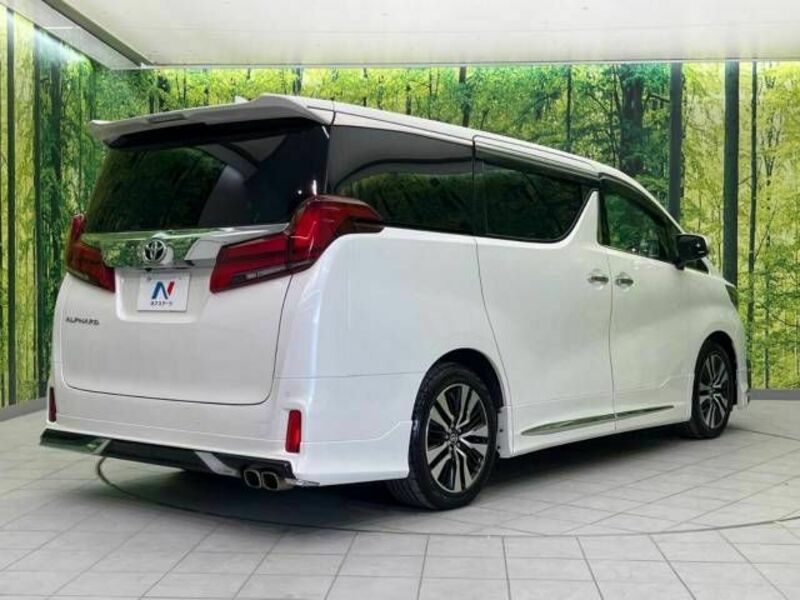 ALPHARD-18