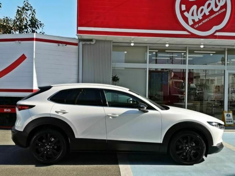 CX-30-3