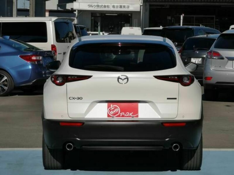 CX-30-6