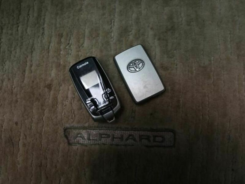 ALPHARD-24