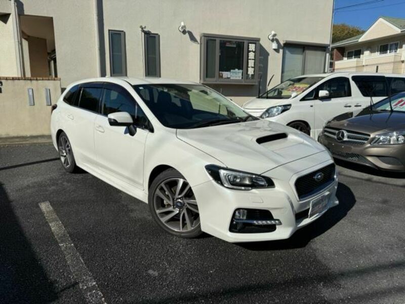 LEVORG-13