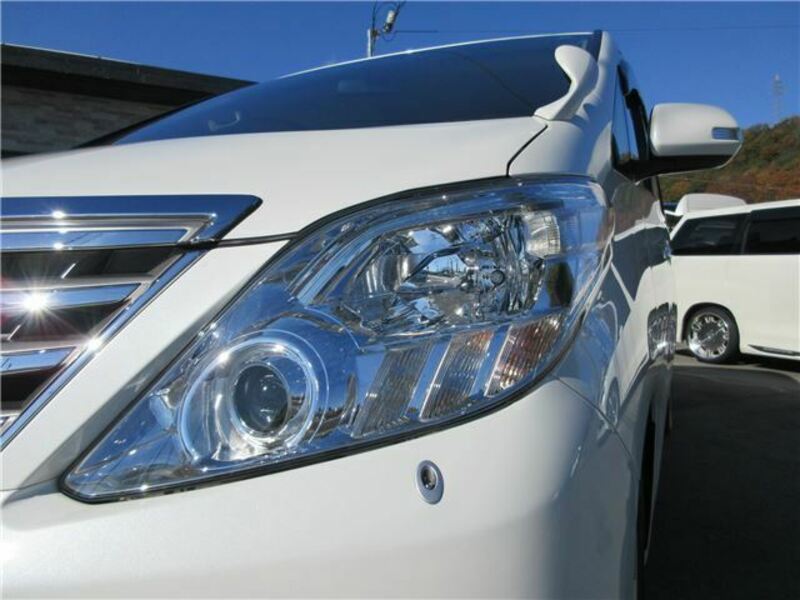 ALPHARD-10