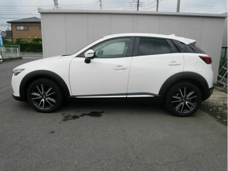 CX-3-14