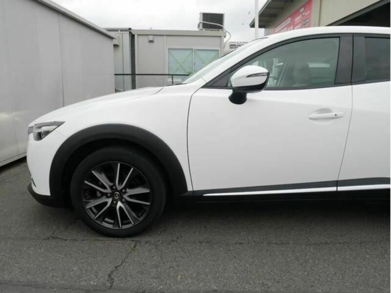 CX-3-19