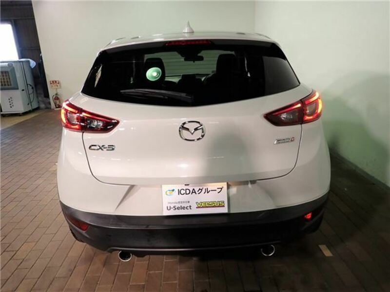 CX-3-1