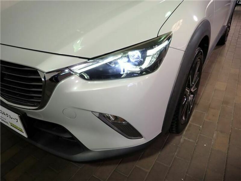 CX-3-8