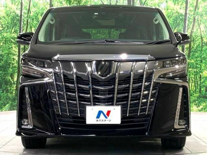 ALPHARD-15