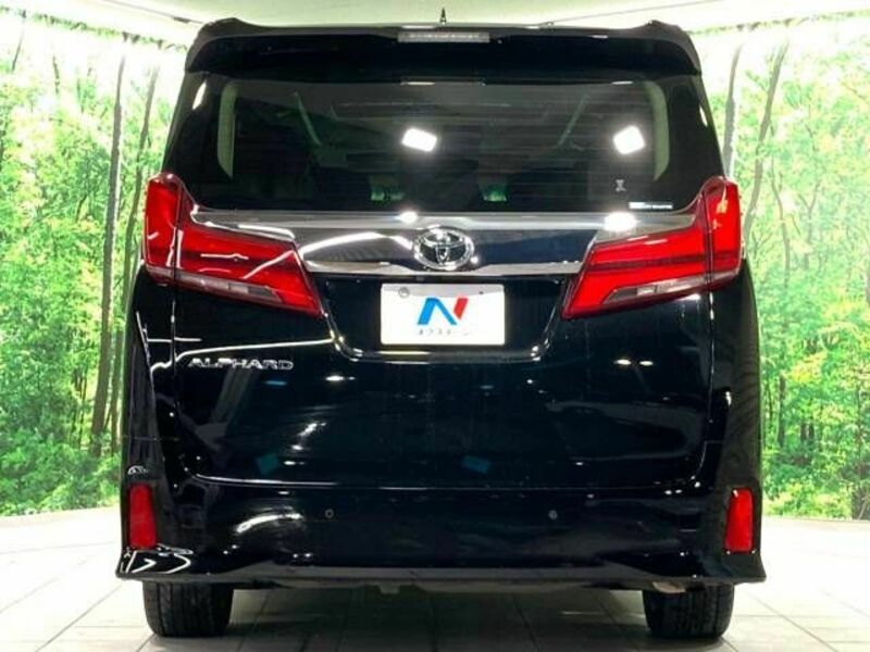 ALPHARD-16