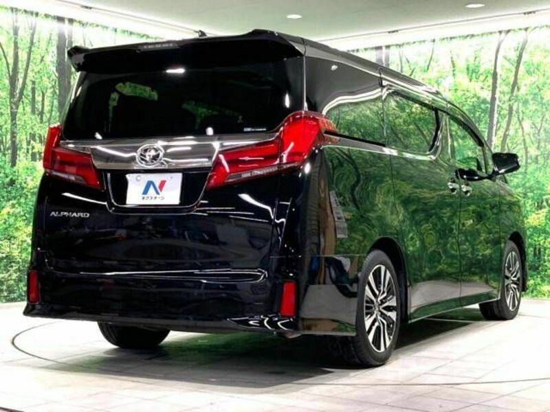 ALPHARD-18