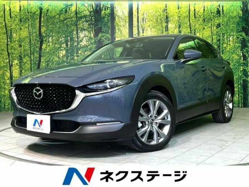 CX-30