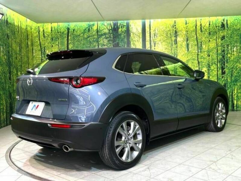 CX-30-17