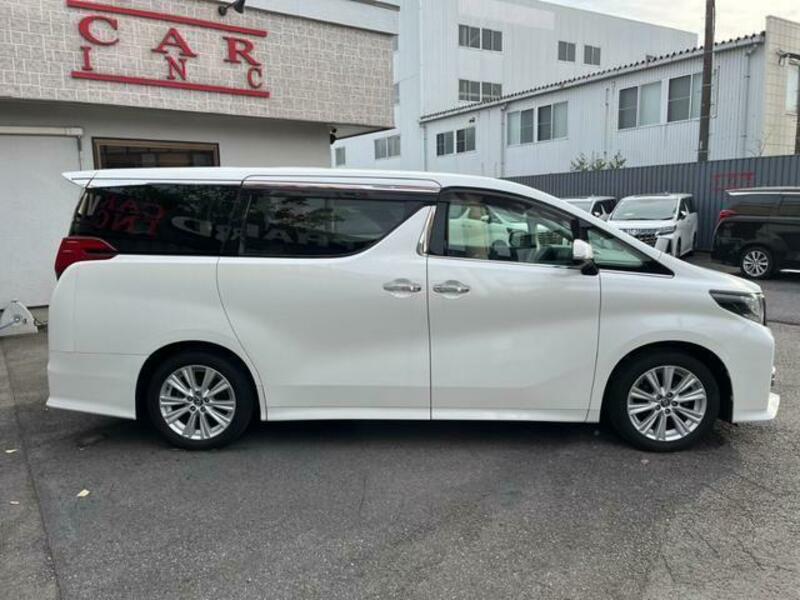 ALPHARD-19