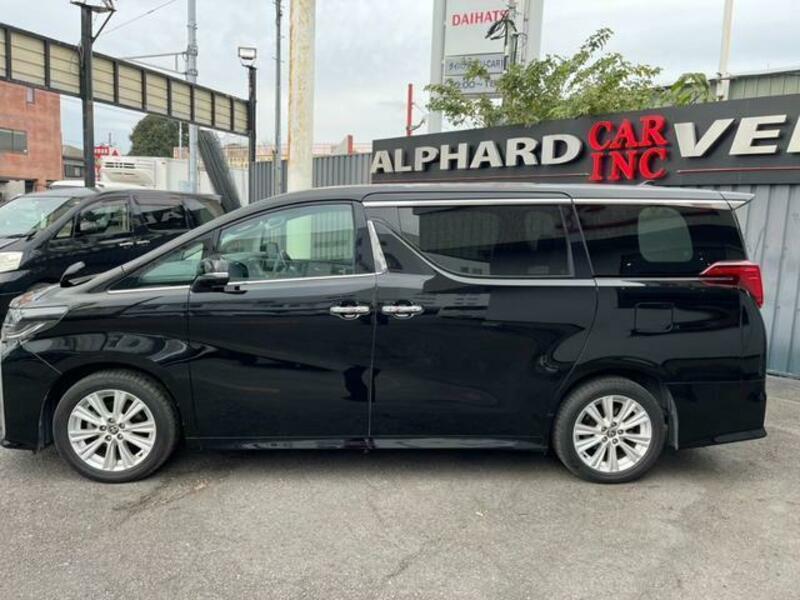 ALPHARD-17