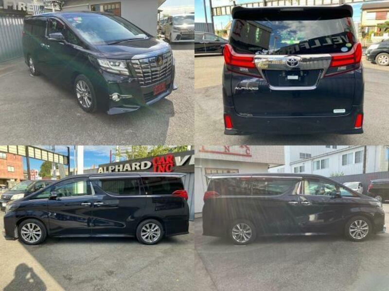 ALPHARD-8