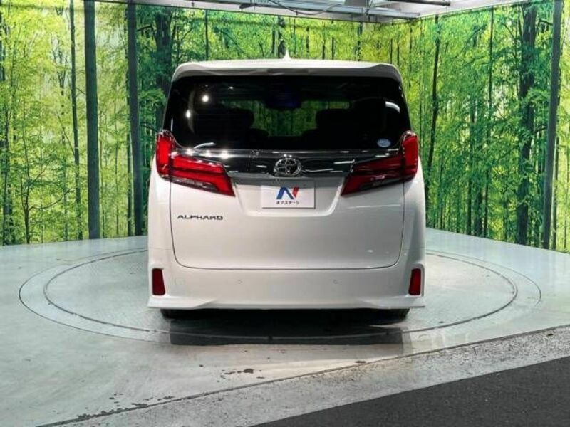 ALPHARD-15