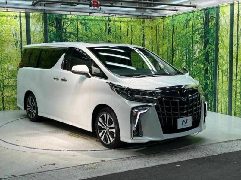 ALPHARD-16