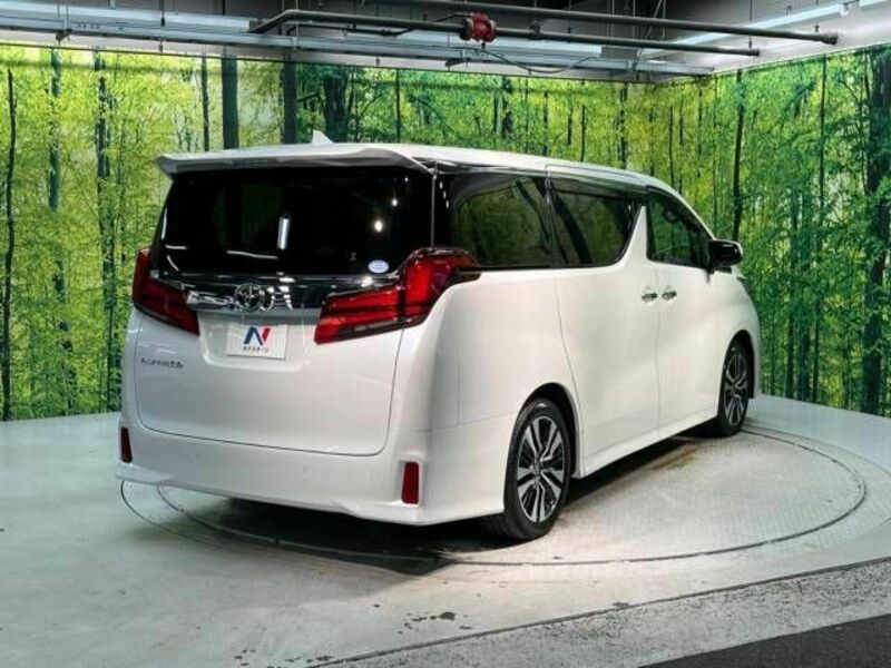 ALPHARD-17