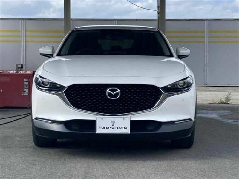 CX-30-1