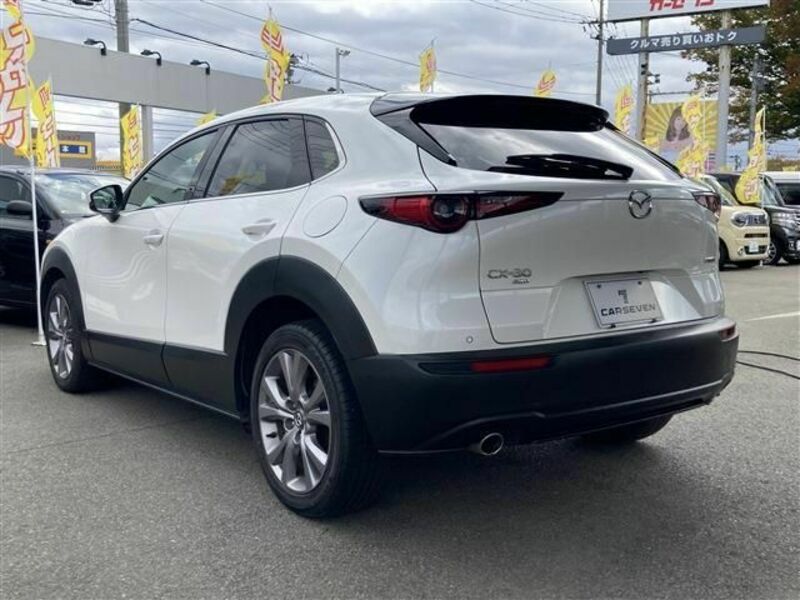 CX-30-6