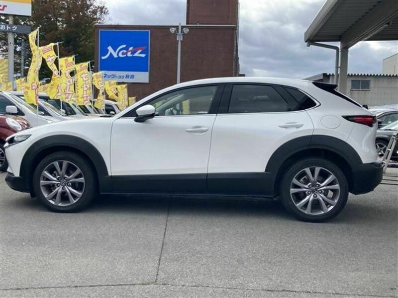 CX-30-7