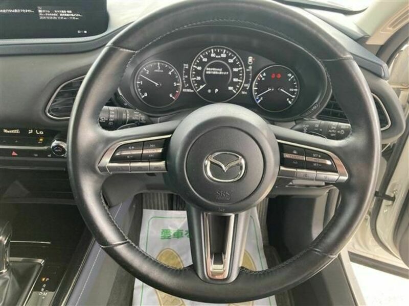 CX-30-10