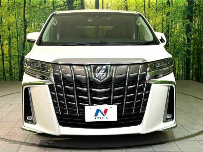 ALPHARD-15