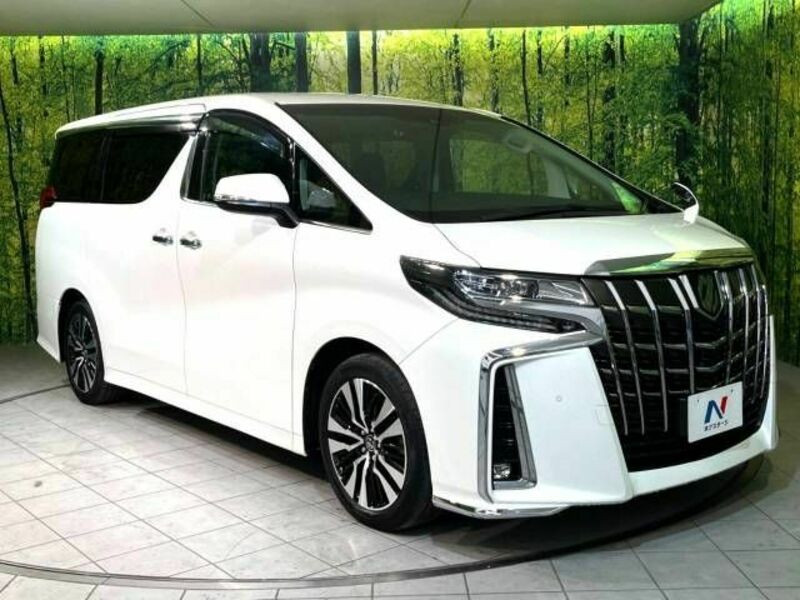 ALPHARD-17