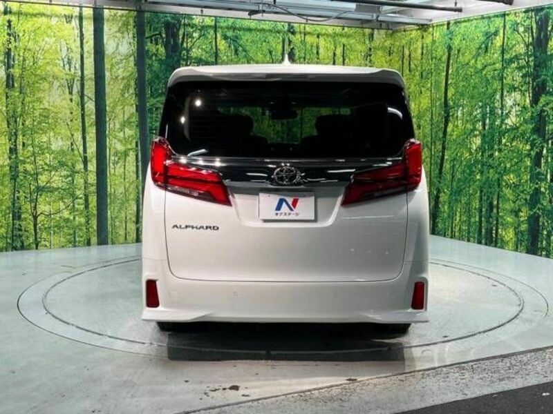 ALPHARD-16