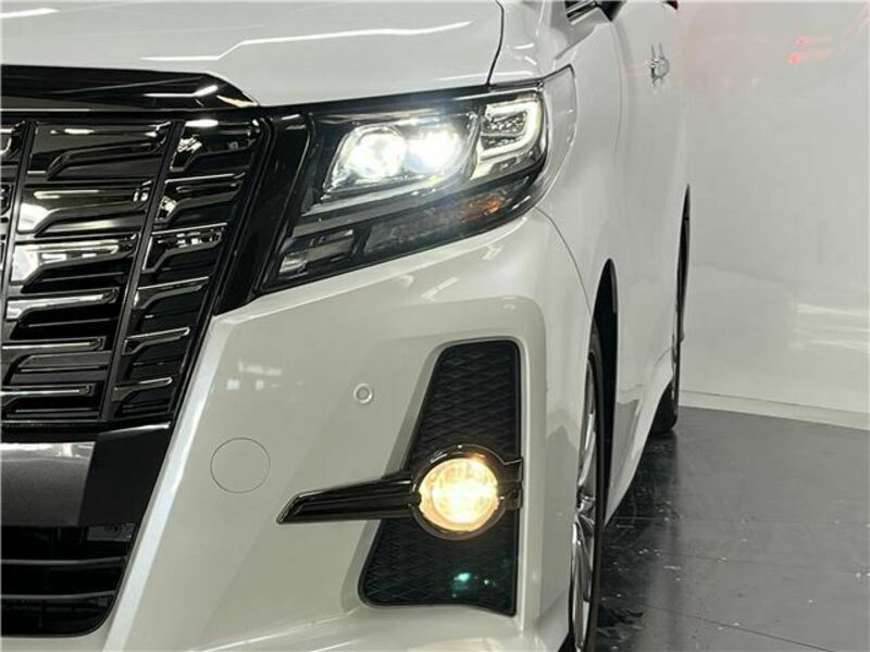 ALPHARD-6