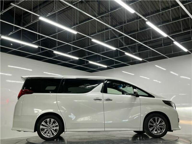 ALPHARD-12