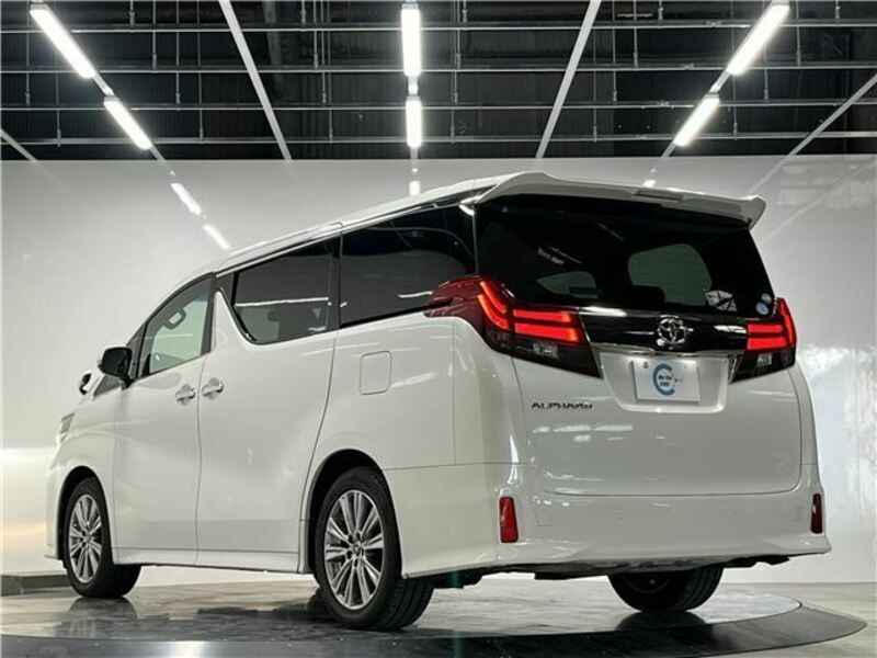 ALPHARD-13